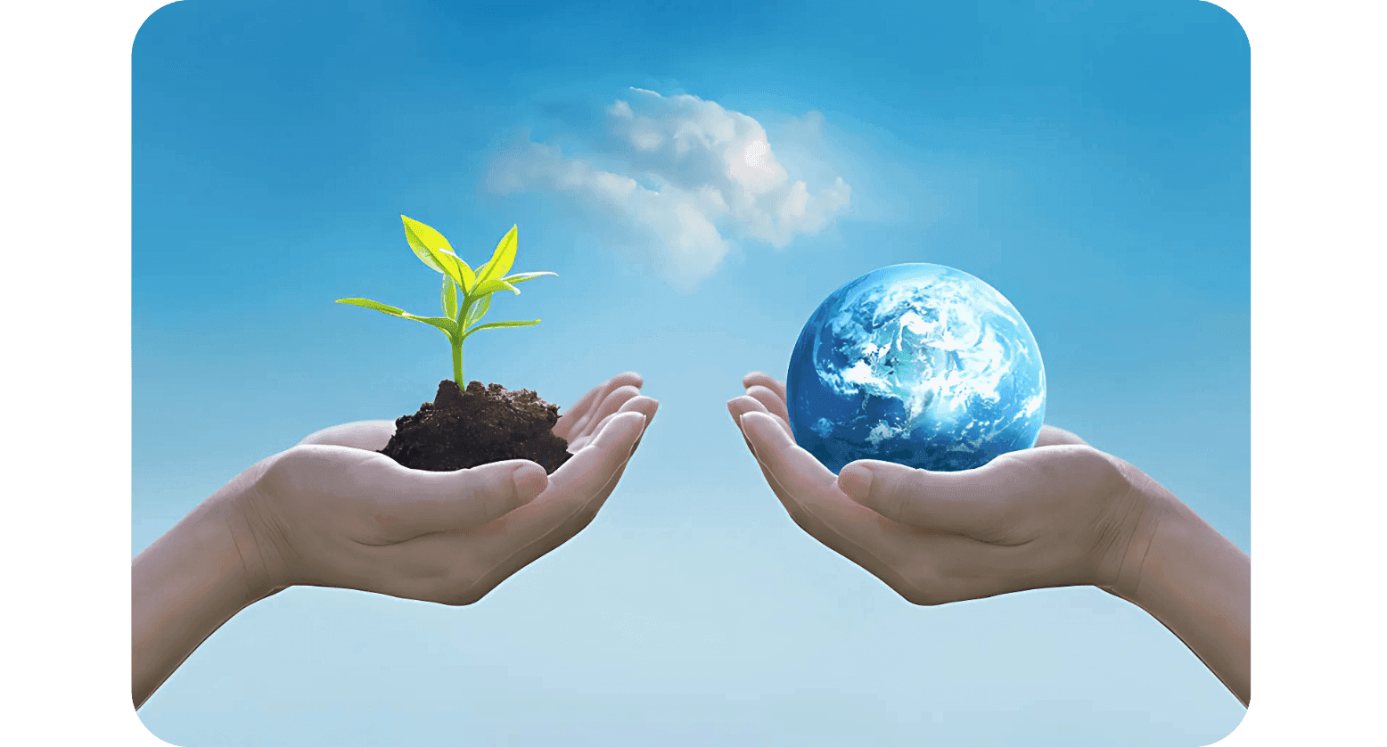 Ministry of Environment, Forest and Climate Change